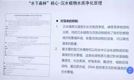 04df1f20015c2d799119c77492ba8442